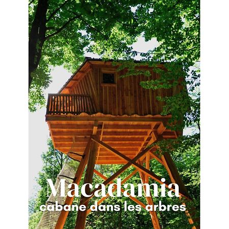 Saint-Antoine  Les Cabanes De Fontfroide מראה חיצוני תמונה