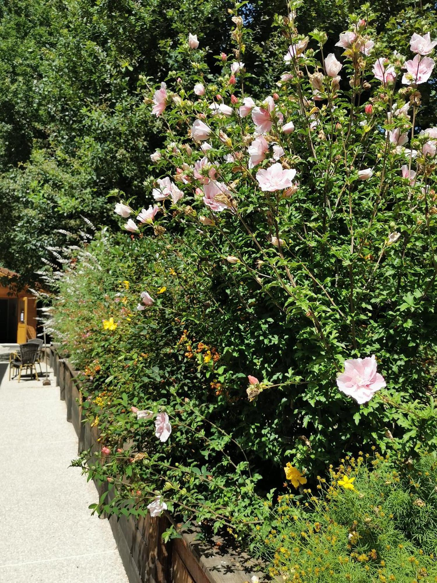 Saint-Antoine  Les Cabanes De Fontfroide מראה חיצוני תמונה